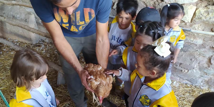 Excursió Infantil Primer Trimestre
